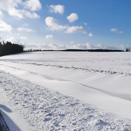 Und Hammerschaenke Casa de hóspedes Wildenthal