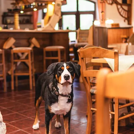 Casa de hóspedes Und Hammerschaenke 3*