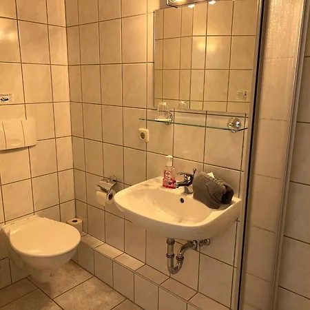 Und Hammerschaenke Guest house Wildenthal