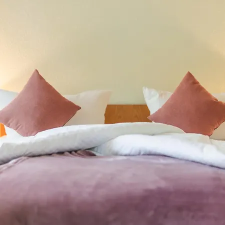 Und Hammerschaenke Casa de hóspedes Wildenthal