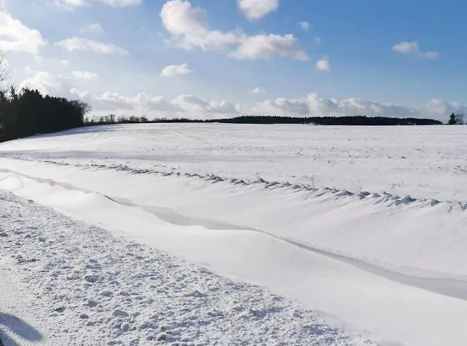 Und Hammerschaenke Guest house Wildenthal