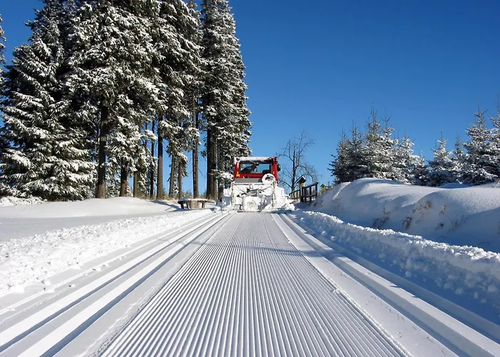 Guest house Und Hammerschaenke 3*